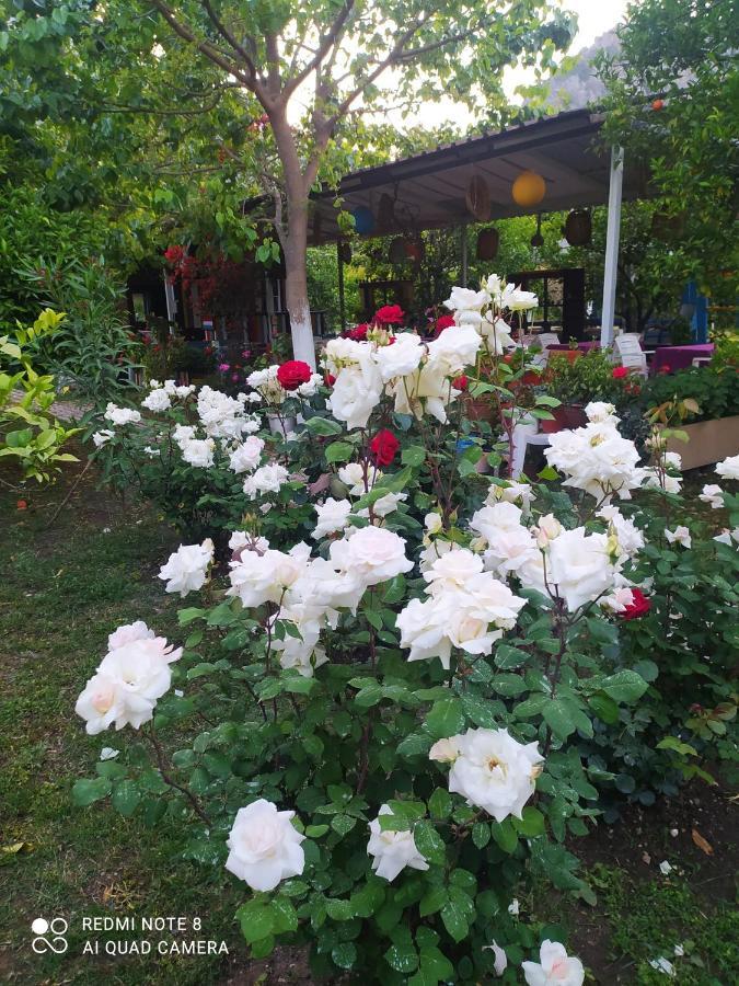 Sakli Bahce Pension Чирали Екстер'єр фото