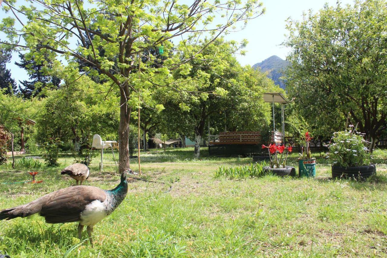Sakli Bahce Pension Чирали Екстер'єр фото