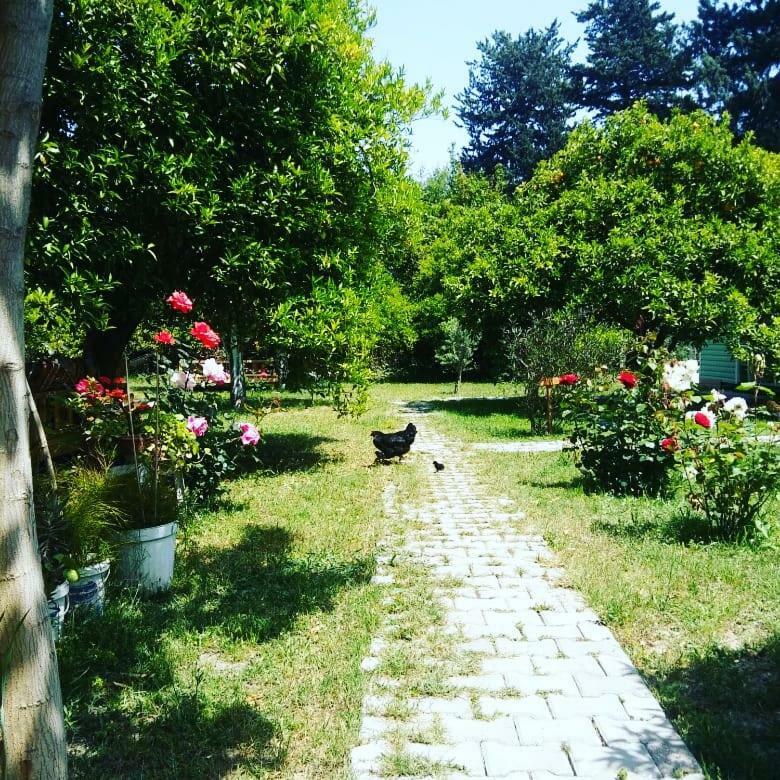 Sakli Bahce Pension Чирали Екстер'єр фото